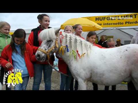 Pferd International Riem 2015 - Fohlenhof Farbenfroh im Schauprogramm