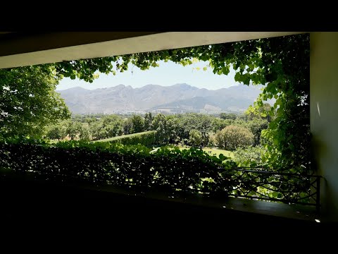 Leeu Estates – A Signature Franschhoek Highlight on Your Voyemo South Africa Journey