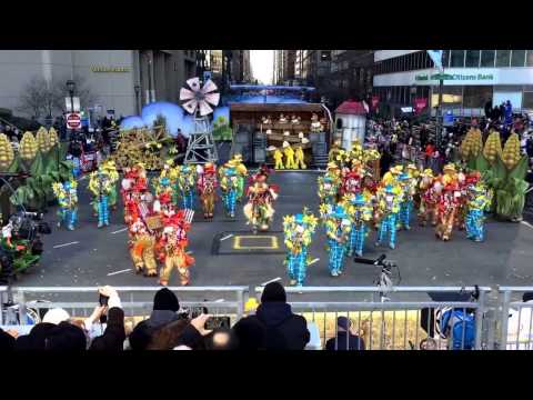 Polish American String Band 2015  'Fifty Shades of Hay' at the judges stand