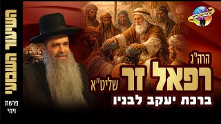 פרשת ויחי תשפ"ו | ברכת יעקב לבניו - הרב רפאל זר בשיעור מרתק! (הרב רפאל זר) - התמונה מוצגת ישירות מתוך אתר האינטרנט יוטיוב. זכויות היוצרים בתמונה שייכות ליוצרה. קישור קרדיט למקור התוכן נמצא בתוך דף הסרטון
