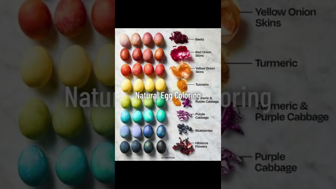 How to dye natural Easter Eggs NO CHEMICALS