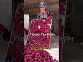 Meat Dryermeat Dryer Energy Saving Food Dryer Over Rose Flower Dryer  #drying #food #machine