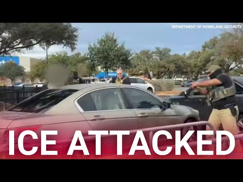 Wild moment ICE agents take down illegal immigrant aggressively ramming law enforcement vehicles