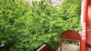 Atlas And Sahara Tours - 110