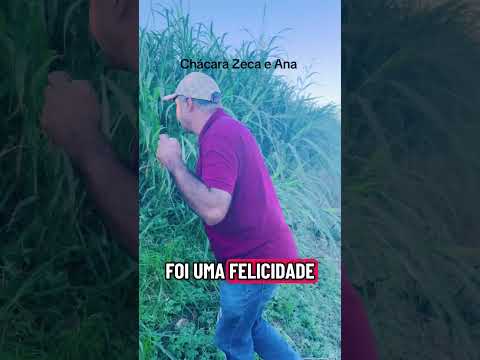 Sítio Giral de Capim e Livramento Paraíba