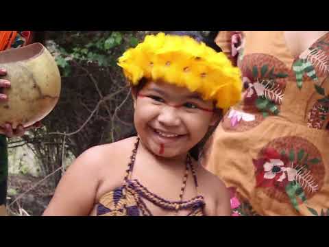 Amazônia sem Garimpo - Ciência e Poesia