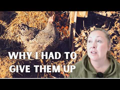 E68 Taming My Garden (and Chicken Sadness)