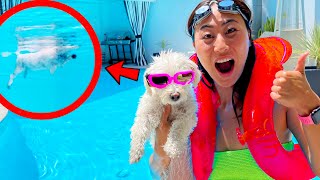 Teaching my Puppy How to Swim!