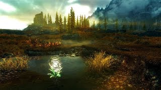 Skyrim - Requiem(No Death). #1. Босмер-Лучник.