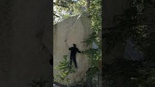 Video thumbnail of Tree Attack, V6. Tramway