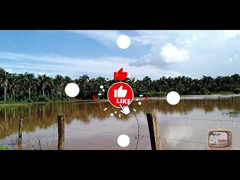 Imagem do interior São Miguel do Tocantins norte do Brasil