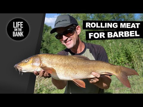 BARBEL FISHING ROLLING MEAT