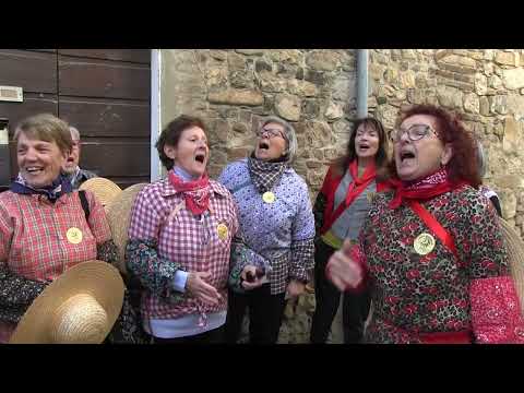 355 ' Ancient Fair of San Martino " The Rice Weeders of Novi (MO) " O Cavallante "