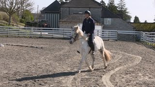 Eventer Emily King meets rescued pony Cracker
