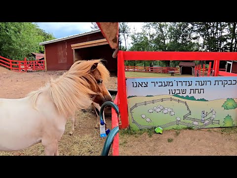 Welcome to Family Fun Farm in Monticello, NY—located right next to the new Jump Center!