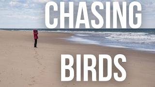 I Didn’t Expect This While Birding Cape Cod