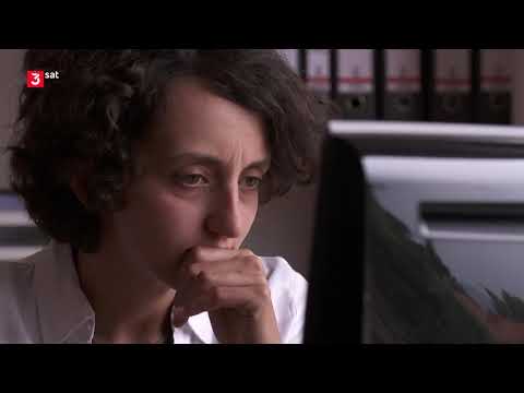 Wilde Miezen - Katzen allein unterwegs Doku (2016)