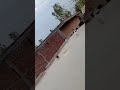 Ban Gaya Tera Yaar Mafia Kal Toh Sikandar Ka Bhi Na Raha Kabutar Status