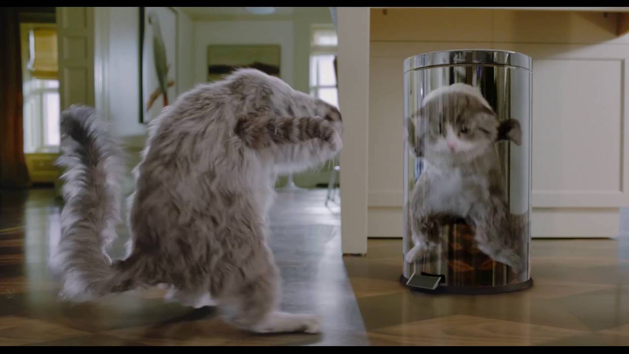 trailer Oficial