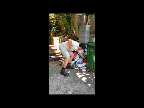 download lagu mp3 mp4 Snakes In Durban South Africa, download mp3 Snakes In Durban South Africa free downloadn, video klip Snakes In Durban South Africa