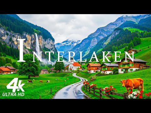 Everlune Nature 4K and Scenic Peace 4K