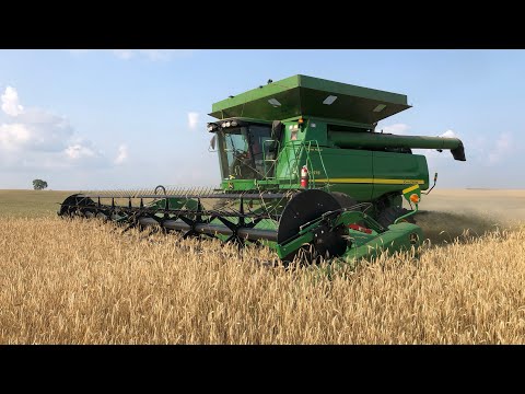 Harvesting Organic Rye 2021!