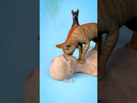 Do Pets Eat Their Owners? 🤔