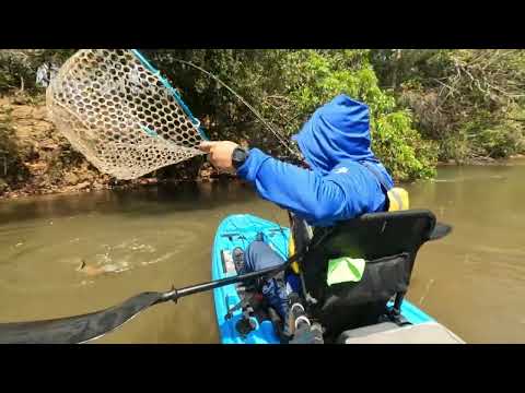 Isca na CARA, Sashimi de Piraputanga, tudo isso PESCANDO depois do ACAMPAMENTO no rio Aquidauana