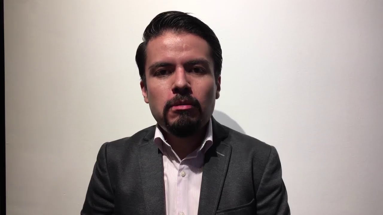 Pedro Gómez Romero-5