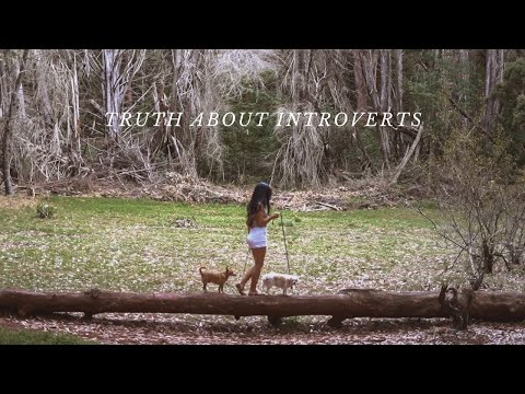 The Truth About Introverts