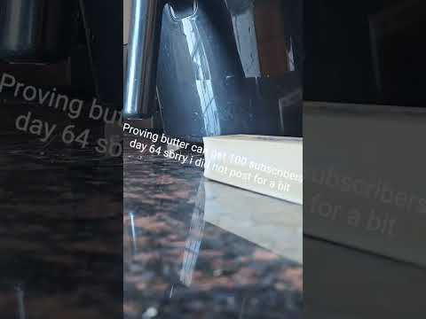 proving butter can get 100 subscribers day 64