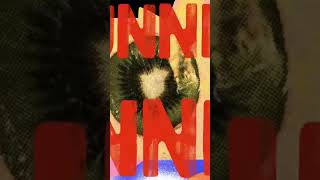 Download lagu Jin running wild ( Afropop remix ) visualizer mp3