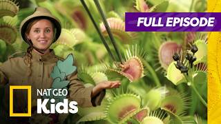 Weird But True Full Episode | Plants, Plants Everywhere🪴🌱 | Nat Geo Kids gameplay video by saegertam, 44:03 duration