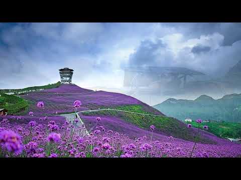 A True Master / Skilled in the Arts  (Yi Nantiro).