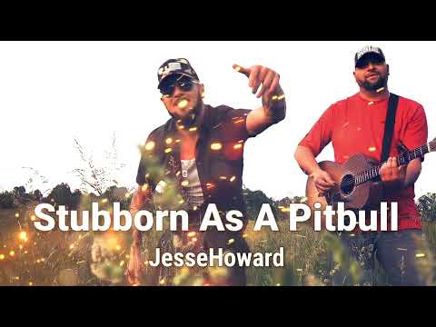 Stubborn As A Pitbull - JesseHoward (Dream Solo)