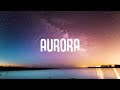 K 391 RØRY Aurora Lyrics