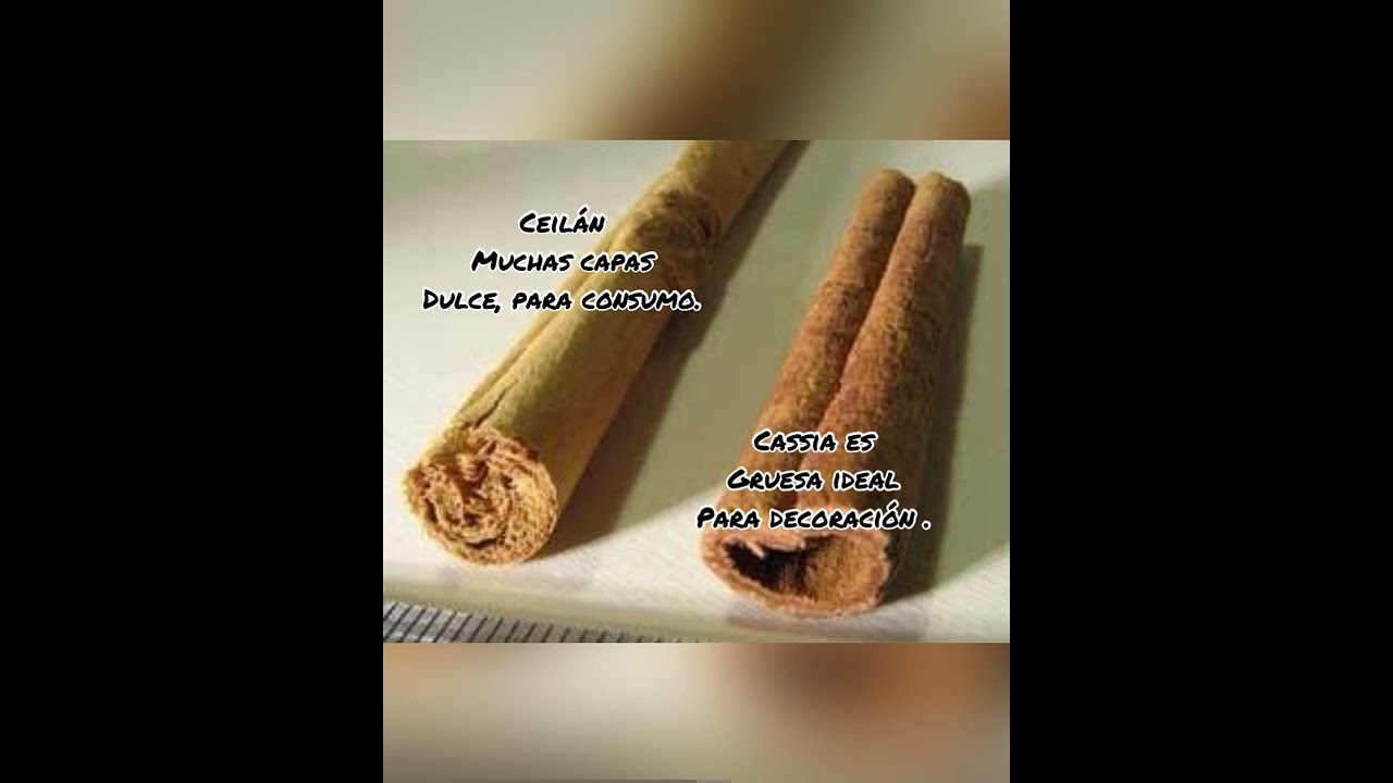 Watch Now Lo que no sabías de la canela Lo que no sabías de la canela