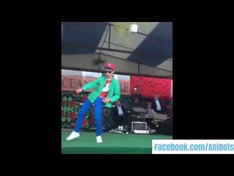 Ceanu Mare 2015 | MonsterBot | AniBOTS