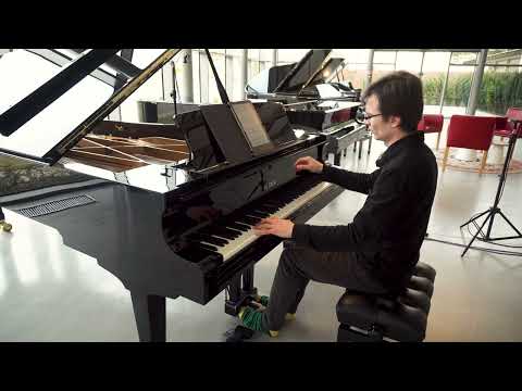 PIANO DEMO: Petrof 284 Mistral - Calm