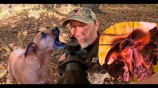 1 Million Dollar Squirrel Dog