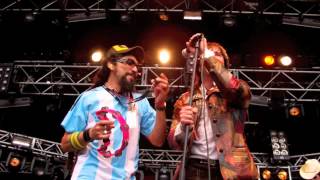 The Flaming Sideburns: Glad to Have You Back