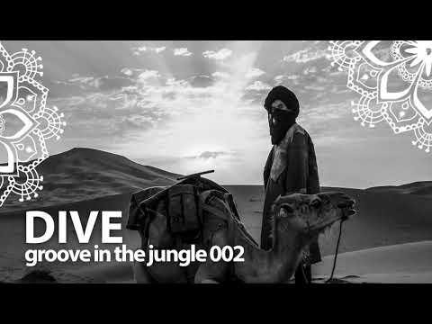 DIVE @ Groove In the Jungle 002/ Afro Deep Tribal Tech Mix