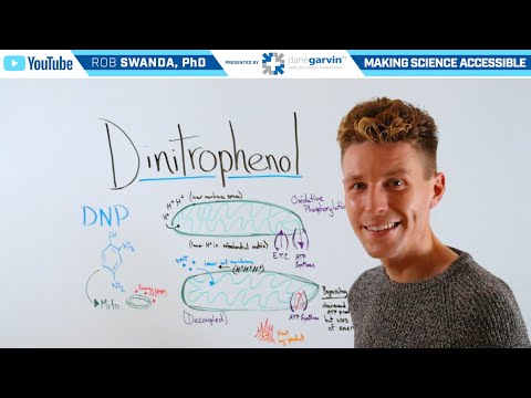 What is Dinitrophenol (DNP)?