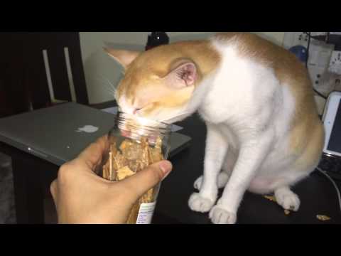 The disadvantages of not having a Thumb