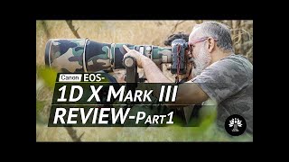Video thumbnail for Canon 1DX Mark III. Feature packed Beast of a Camera! A Review. by PIXEL VIILAGE