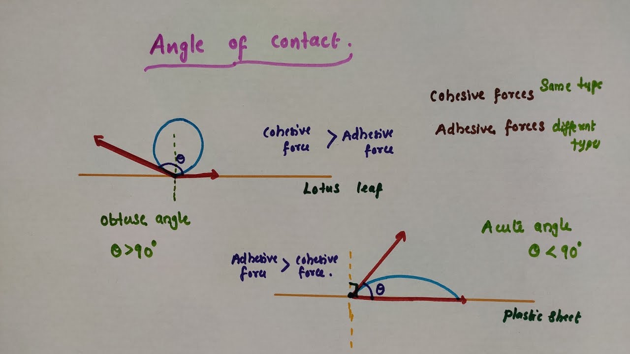 Angle of contact // Class 11 Physics // Chapter 10 Mechanical properties of fluids