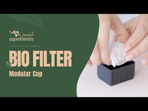 Watch Video on YouTube