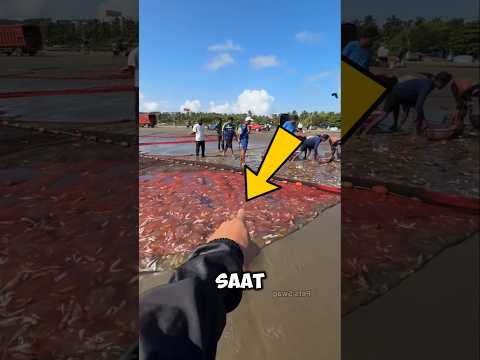 Pria Ini Meminta Satu Ikan dari Nelayan… Alasannya Bikin Semua Orang Terdiam