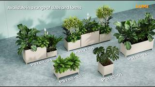 Indoor Floor & Wall Planters | PST Series | LUMI