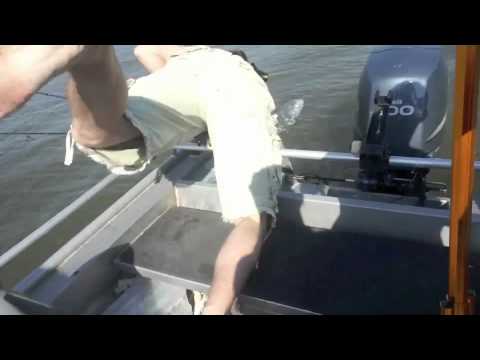 Iso lohi kuhan kalastuksen lomassa